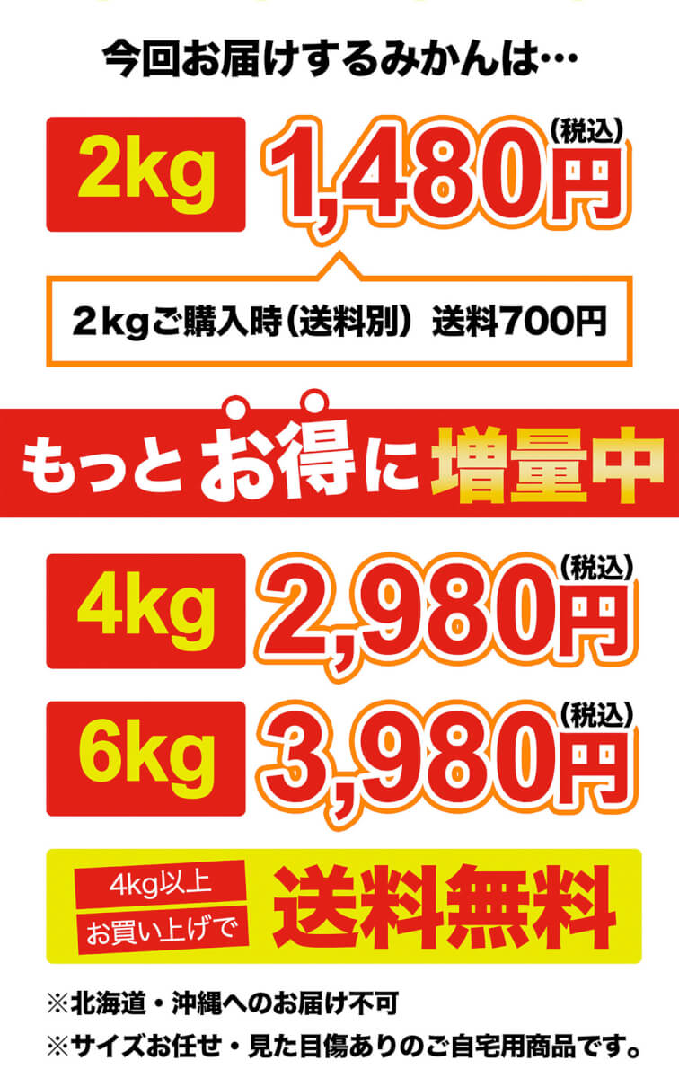 今回お届けするみかんは2kg1480円（税込）